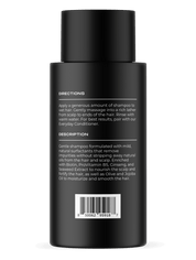 Everyday Shampoo