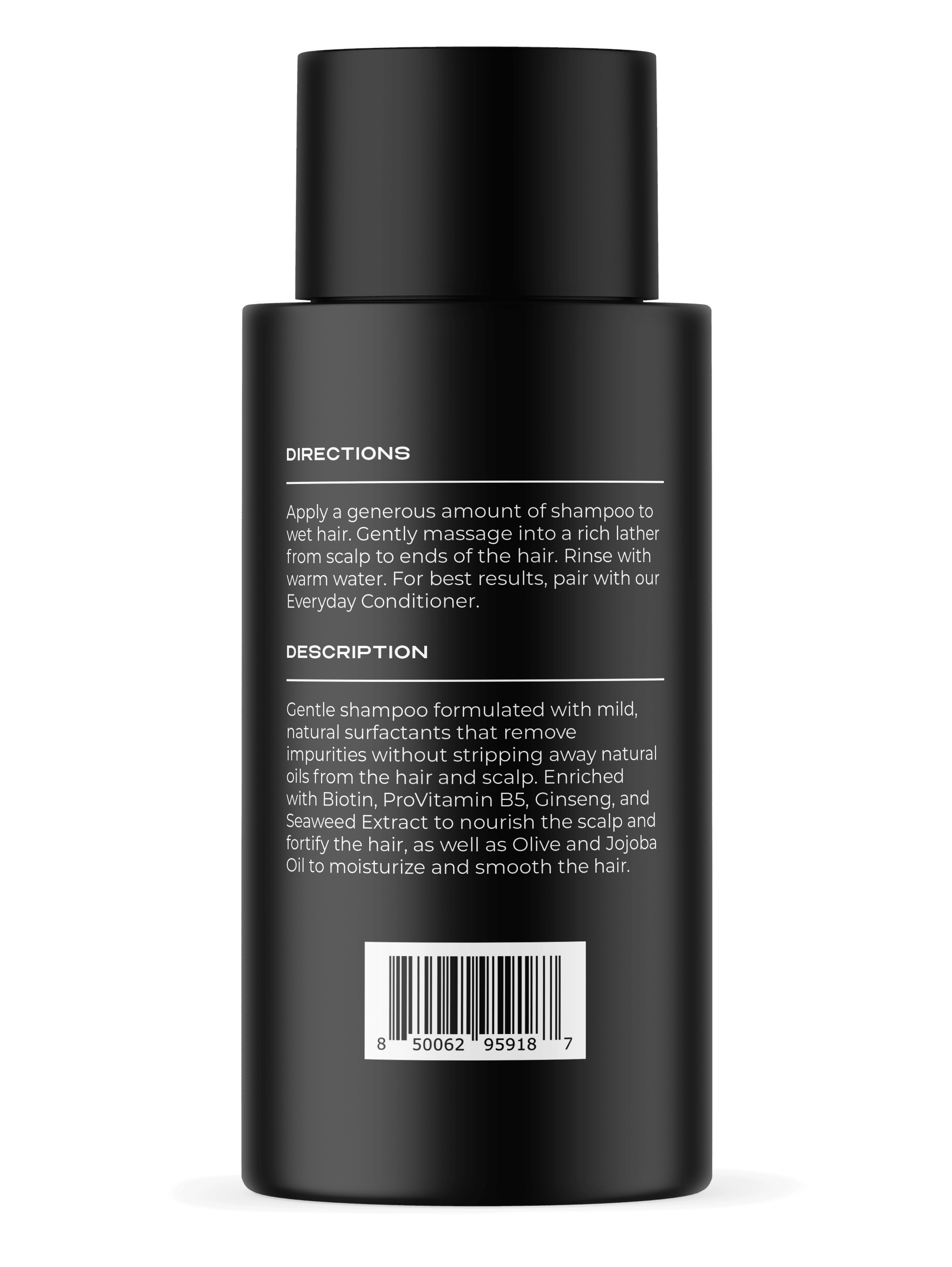 Everyday Shampoo
