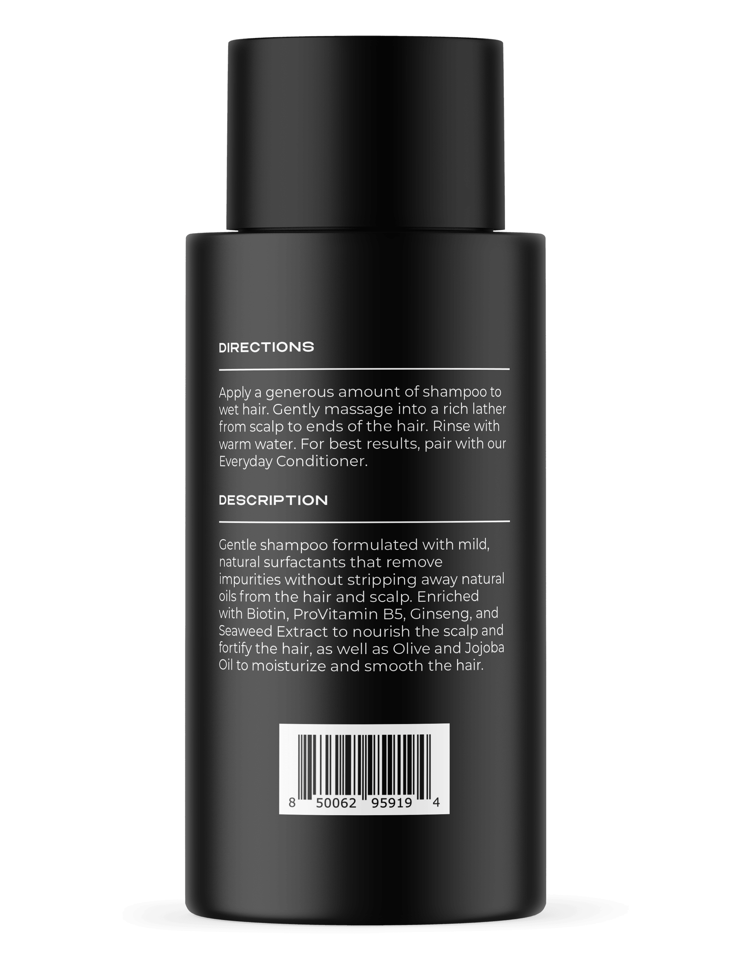 Everyday Shampoo